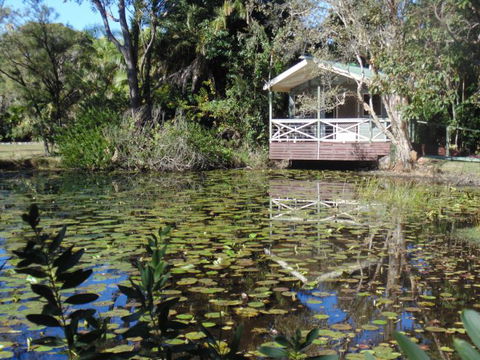 Darlington Beach NRMA Holiday Park - Kingaroy Accommodation 5