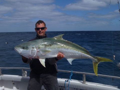Reef Encounters Fishing Charters. - Kingaroy Accommodation 0