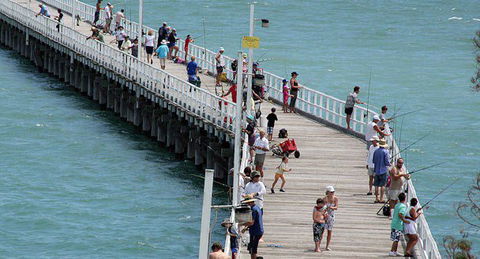 Fraser Coast Amazing Fishing Trails - Kingaroy Accommodation 27