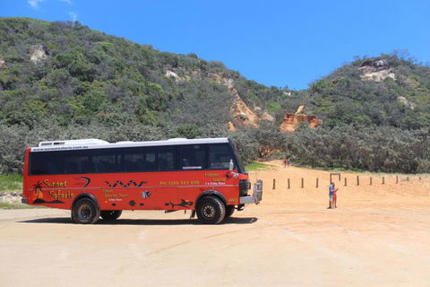 Australian Sunset Safaris - Kingaroy Accommodation 41