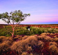 Island Stack Boodjamulla Lawn Hill National Park - Kingaroy Accommodation