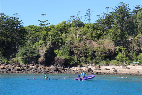 Kipara Tropical Rainforest Retreat - Kingaroy Accommodation 0