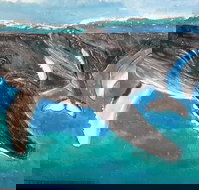 Kaz Art-Whitewash Gallery - Kingaroy Accommodation