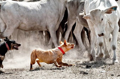 David Hancock Photography - Kingaroy Accommodation 2