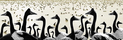 Tin Shed Art Gallery - Kingaroy Accommodation 0