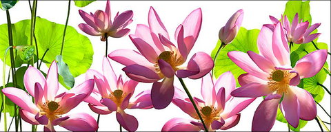 Tin Shed Art Gallery - Kingaroy Accommodation 3