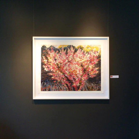 Gallery One - Kingaroy Accommodation 1