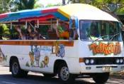 Darwin Tours - Kingaroy Accommodation 2