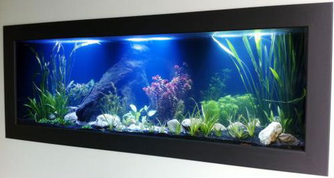 Aquariums In Cairns - Kingaroy Accommodation 0