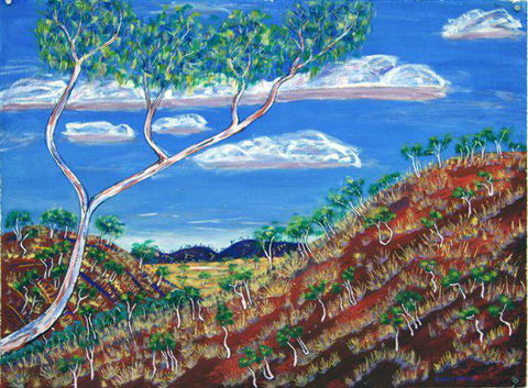 Gallery 48 - Kingaroy Accommodation 2