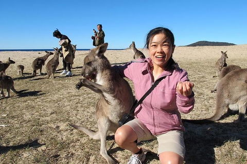 Batemans Bay Full-Day Tour From Canberra Including Indigenous Experience - Kingaroy Accommodation 0