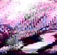 Pink Forest - Boardwalk Bar 4.00-6.00pm - Kingaroy Accommodation