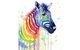 Rainbow Zebra - 65 Northbourne 7.30-9.30pm - thumb 0