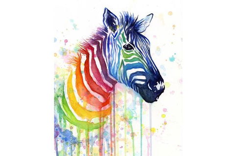 Rainbow Zebra - 65 Northbourne 7.30-9.30pm - Kingaroy Accommodation 0