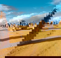 Pinnacles Desert Koalas and Sandboarding 4WD Day Tour from Perth - Kingaroy Accommodation