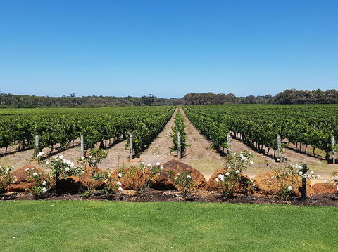 Margaret River Food, Wine & Sightseeing Tour From Perth - Kingaroy Accommodation 5