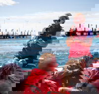 Rottnest Island Tour from Perth or Fremantle including Adventure Speed Boat Ride - Kingaroy Accommodation