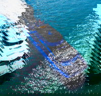 Rottnest Island Roundtrip Ferry from Perth with Transfer - Kingaroy Accommodation