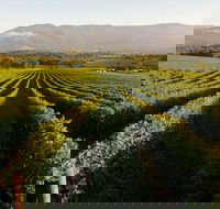 Half-Day Swan Valley Walk  Fruit Orchard - Kingaroy Accommodation