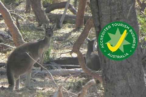 Perth Electric Bike Tours - Kingaroy Accommodation 1