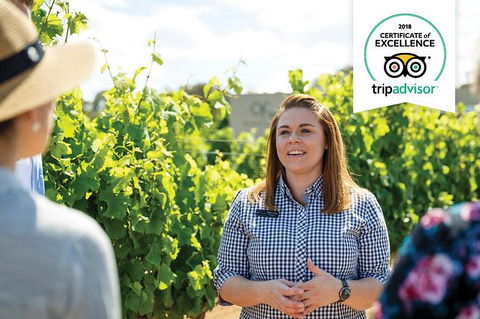 Swan Valley Wine Adventure - Half Day Premium Boutique Winery Tour - Kingaroy Accommodation 0