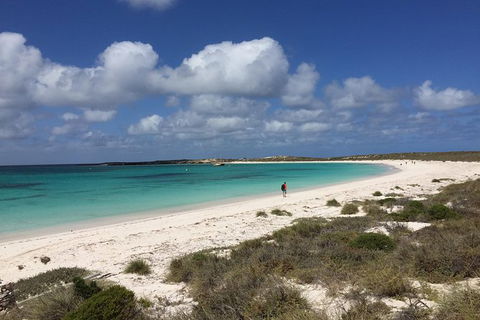 Abrolhos Island Half Day Fly And Flipper - Kingaroy Accommodation 0