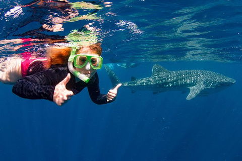 VIP Luxury Chartered Escapes, Exploring The Reef At Your Own Pace - Kingaroy Accommodation 20