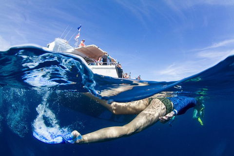 VIP Luxury Chartered Escapes, Exploring The Reef At Your Own Pace - Kingaroy Accommodation 40