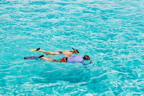 VIP Luxury Chartered Escapes, Exploring The Reef At Your Own Pace - Kingaroy Accommodation 29