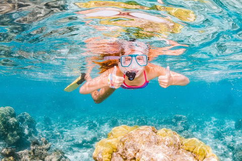 VIP Luxury Chartered Escapes, Exploring The Reef At Your Own Pace - Kingaroy Accommodation 48