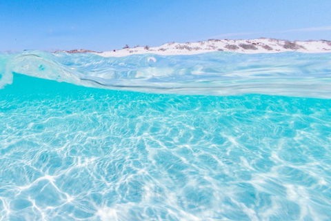 VIP Luxury Chartered Escapes, Exploring The Reef At Your Own Pace - Kingaroy Accommodation 39
