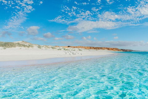 VIP Luxury Chartered Escapes, Exploring The Reef At Your Own Pace - Kingaroy Accommodation 36
