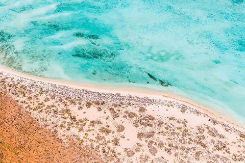 VIP Luxury Chartered Escapes, Exploring The Reef At Your Own Pace - Kingaroy Accommodation 4
