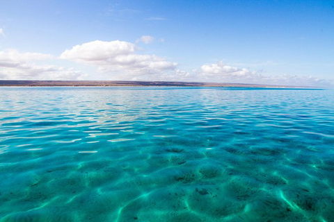 VIP Luxury Chartered Escapes, Exploring The Reef At Your Own Pace - Kingaroy Accommodation 32