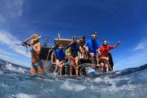 VIP Luxury Chartered Escapes, Exploring The Reef At Your Own Pace - Kingaroy Accommodation 17