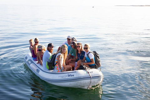 VIP Luxury Chartered Escapes, Exploring The Reef At Your Own Pace - Kingaroy Accommodation 43