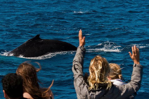 VIP Luxury Chartered Escapes, Exploring The Reef At Your Own Pace - Kingaroy Accommodation 21