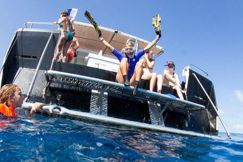 VIP Luxury Chartered Escapes, Exploring The Reef At Your Own Pace - Kingaroy Accommodation 25