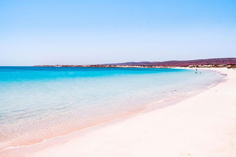 VIP Luxury Chartered Escapes, Exploring The Reef At Your Own Pace - Kingaroy Accommodation 45