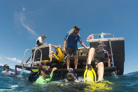 Deluxe WhaleShark Swim Tour On The Ningaloo Reef From Exmouth - Kingaroy Accommodation 6