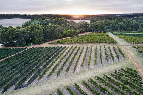 Vasse Felix Epicurean Tour And Tasting Experience With 5 Course Lunch - Kingaroy Accommodation 7