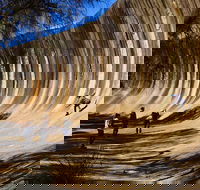 The Big Wave Rock Private Day Tour - Kingaroy Accommodation