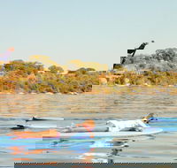 Stand-Up Paddleboarding Lesson plus Guided Paddle on Perth's Swan River - Kingaroy Accommodation