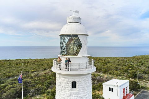 Cape Naturaliste Lighthouse Fully-guided Tour - Kingaroy Accommodation 5