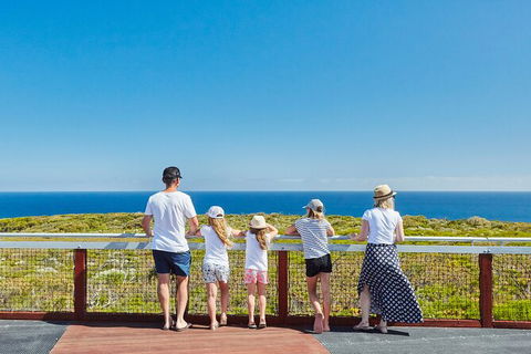 Cape Naturaliste Lighthouse Fully-guided Tour - Kingaroy Accommodation 3