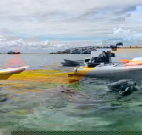 Seal Island and Penguin Island or Point Peron Sea Kayak Tour - Kingaroy Accommodation