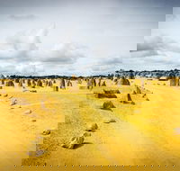 1 Day Pinnacles Wildlife  Sandboarding - Kingaroy Accommodation