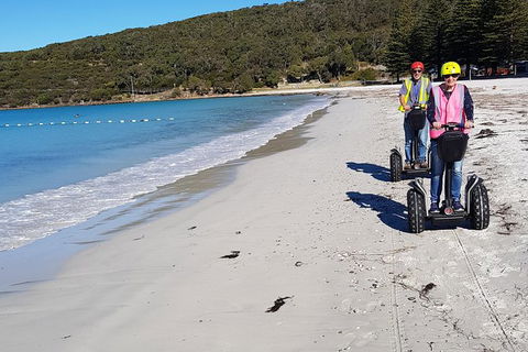 Albany Summit To Sea Adventure - Guided Segway Tour - Kingaroy Accommodation 3