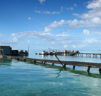 Full Day Guided Abrolhos Fly and Flipper Tour from Geraldton - Kingaroy Accommodation