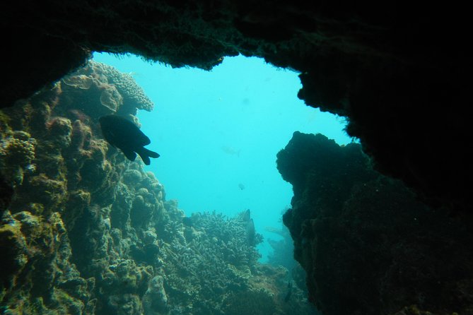 Houtman Abrolhos WA Kingaroy Accommodation